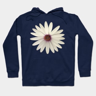 Happy Flower White African Daisy Isolated Hoodie